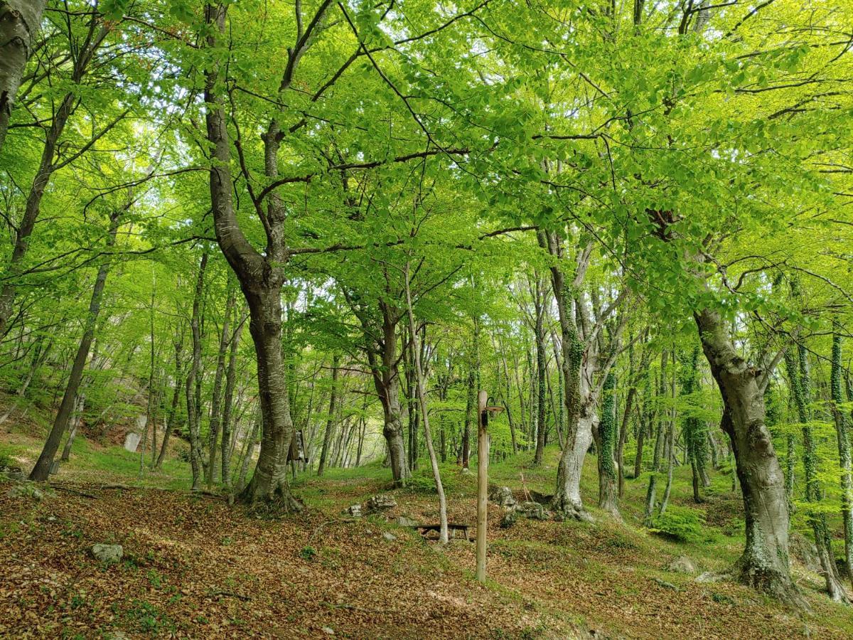 Locazione Turistica Arcobaleno "Appartamento Superior" Roccavivara Bagian luar foto