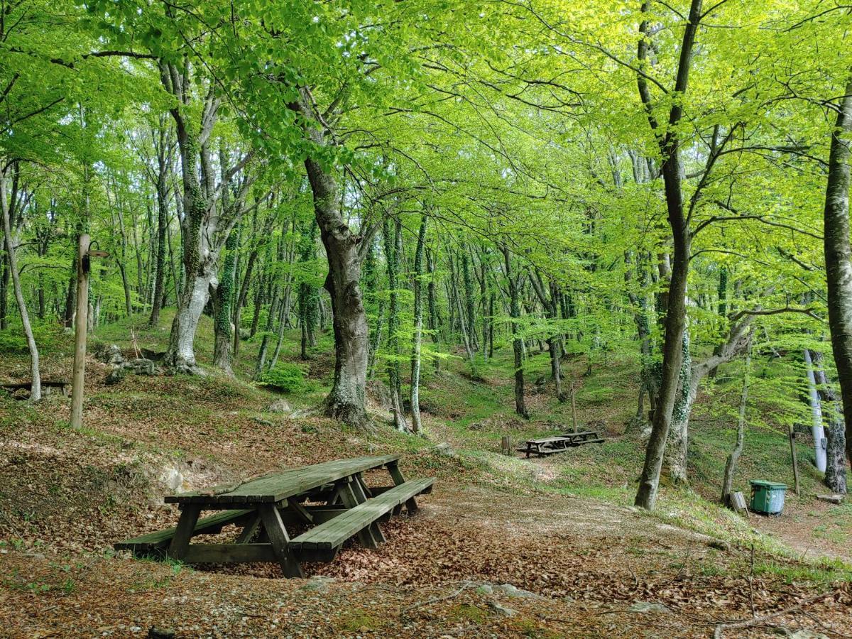 Locazione Turistica Arcobaleno "Appartamento Superior" Roccavivara Bagian luar foto